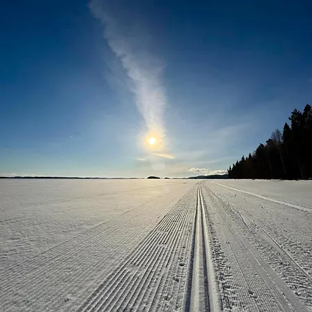 Honkakoli 1 * Kolinkylä