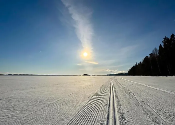 Honkakoli 1 * Kolinkylä